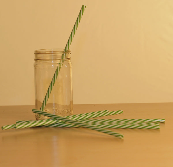9" Resuable Striped Plastic Straw